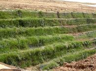 williamson-county-landfill-terramesh-green-partially-vegetated-2